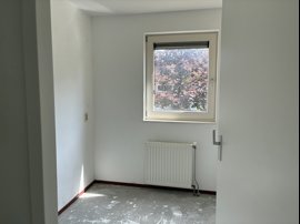img-5036.jpeg