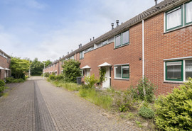 mijndenhof-259-2.jpg