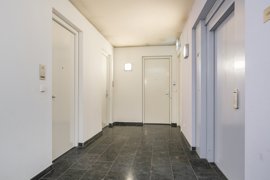disselhof-50-06.jpg