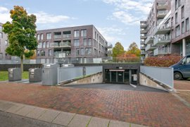 disselhof-50-31.jpg