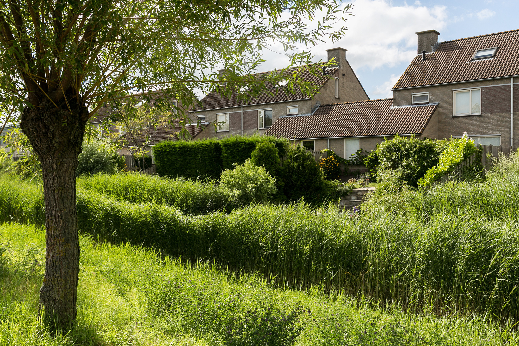 Huis Ruigewerve in Bergen op Zoom