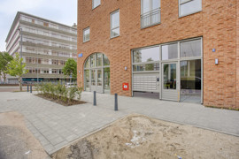 albertinasisulupad343072dhrotterdam-02.jpg