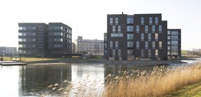 Ansjovislaan 290