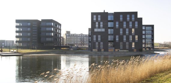 Ansjovislaan 253, Bergen Op Zoom