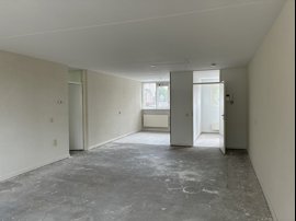 img-5260.jpeg