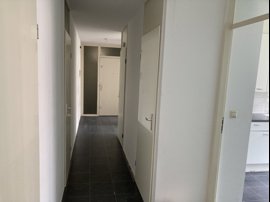 img-4953.jpeg