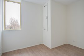 278422-11.jpg
