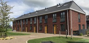 Dotterbloem Erf 9