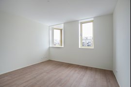 278393-05.jpg