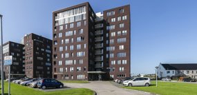 Reitdiephaven 454