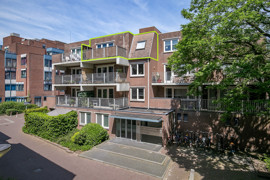 041.jpg
