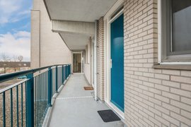 04.jpg