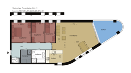 11307-amazones-type-t1-png2058.png