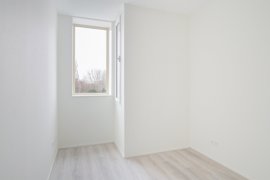 278417-13.jpg