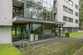 06.jpg