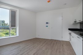 toxopeusstraat-182-10.jpg