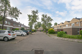 08.jpg
