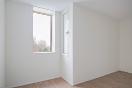 278422-07.jpg
