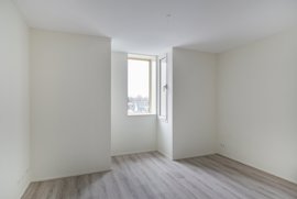 278395-05.jpg