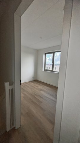 image12.jpeg