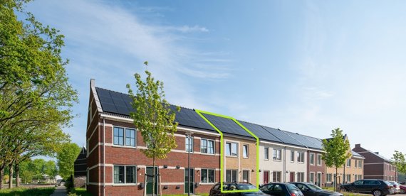 Bovist 5, Assen