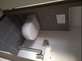 toilet.jpg