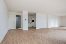 disselhof-50-13.jpg