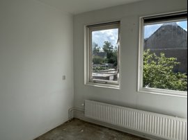 img-3982.jpg