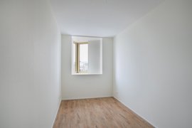 278391-04.jpg
