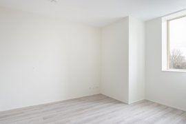 278417-09.jpg