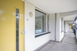 argusvlinder-82-08.jpg