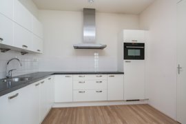 disselhof-50-14.jpg