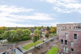 disselhof-50-26.jpg