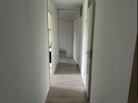 img-4237.jpg
