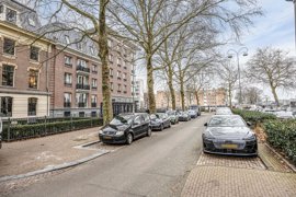 1621692-proftulpplein81018gxamsterdam-09.jpg