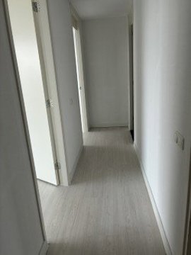 68a39bba-5d44-41e0-9045-5d697a6e42e1.jpg