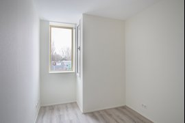 278395-09.jpg