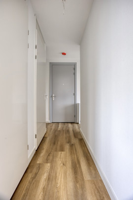 albertinasisulupad343072dhrotterdam-06.jpg