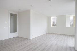 278417-03.jpg
