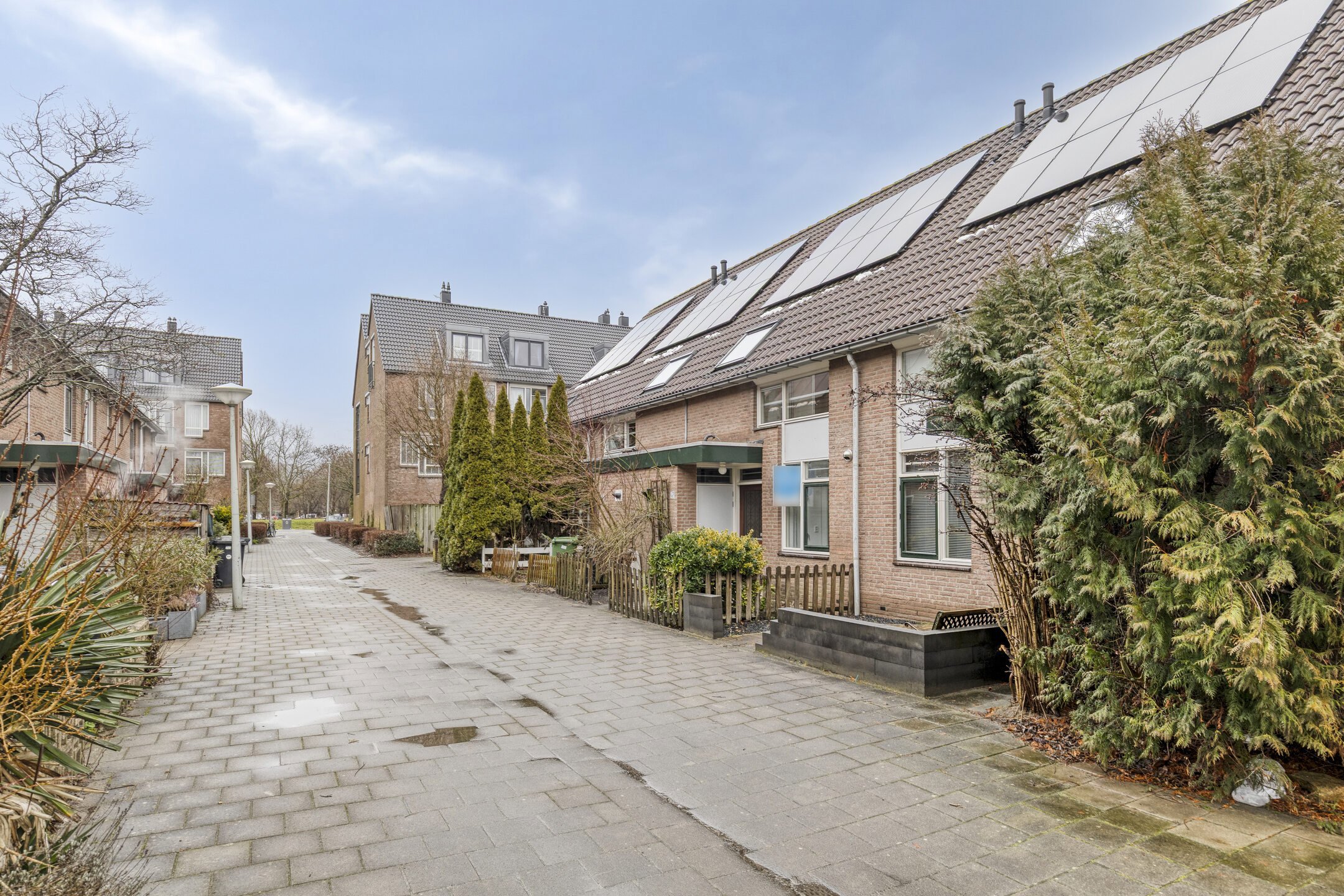 1628783-wethouderdriessenstraat571107xhamsterdam-01.jpg