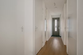 09.jpg