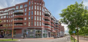 Grauwaartsingel 346