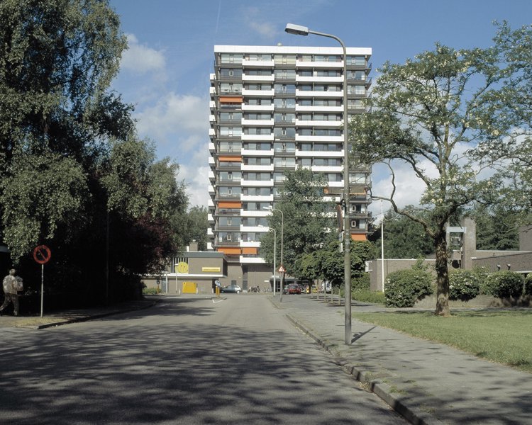 650.jpg