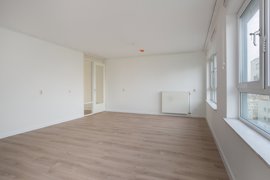 05.jpg
