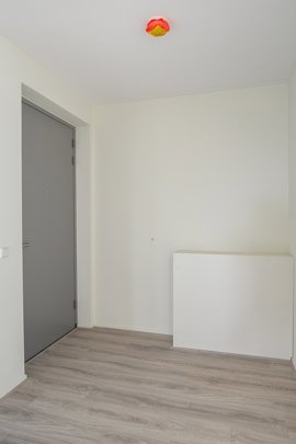 278395-15.jpg