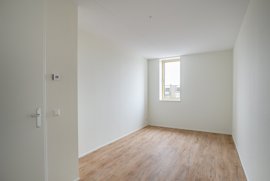 278391-06.jpg
