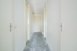 05.jpg