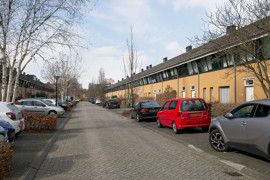 04.jpg