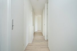 06.jpg