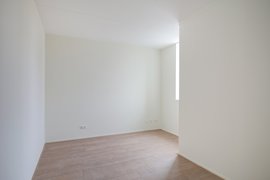 278422-06.jpg